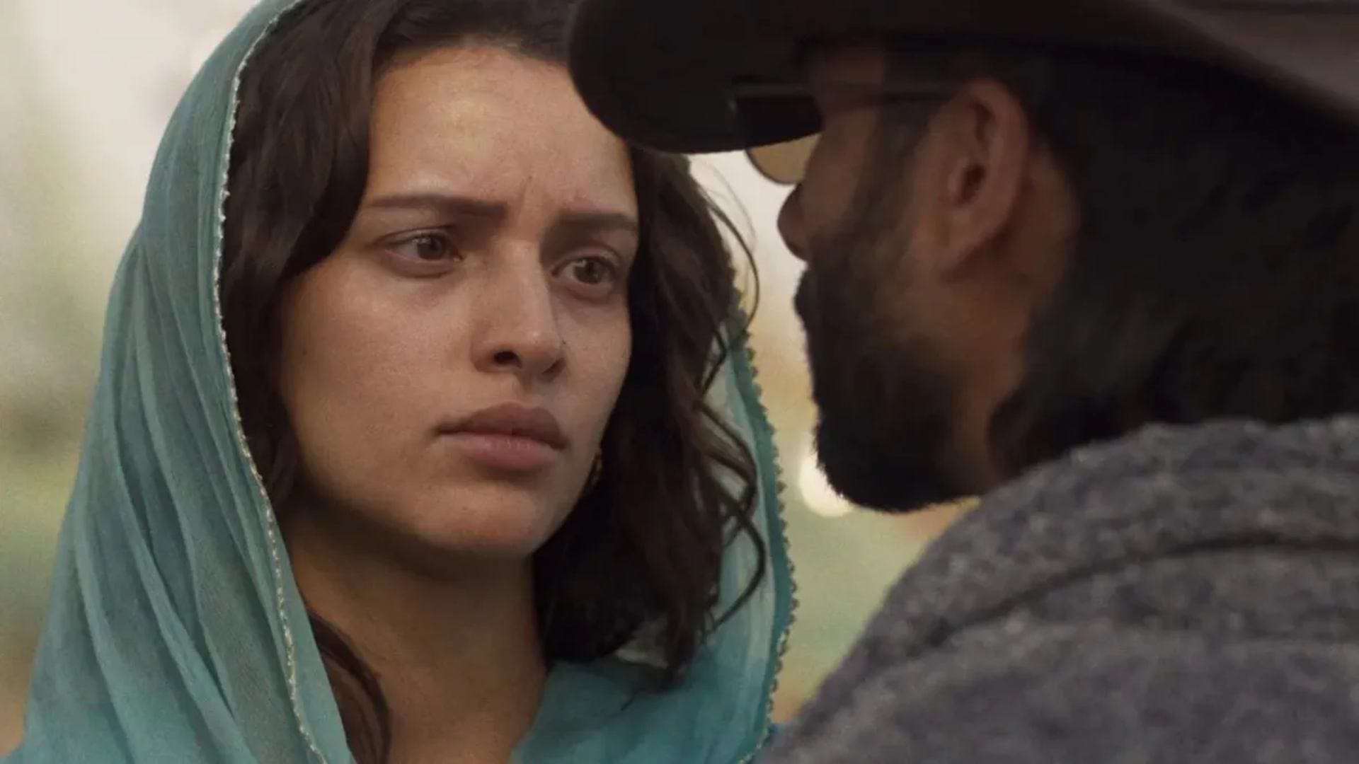 O Romeo box office Collection day 10 know total earning of shahid kapoor film