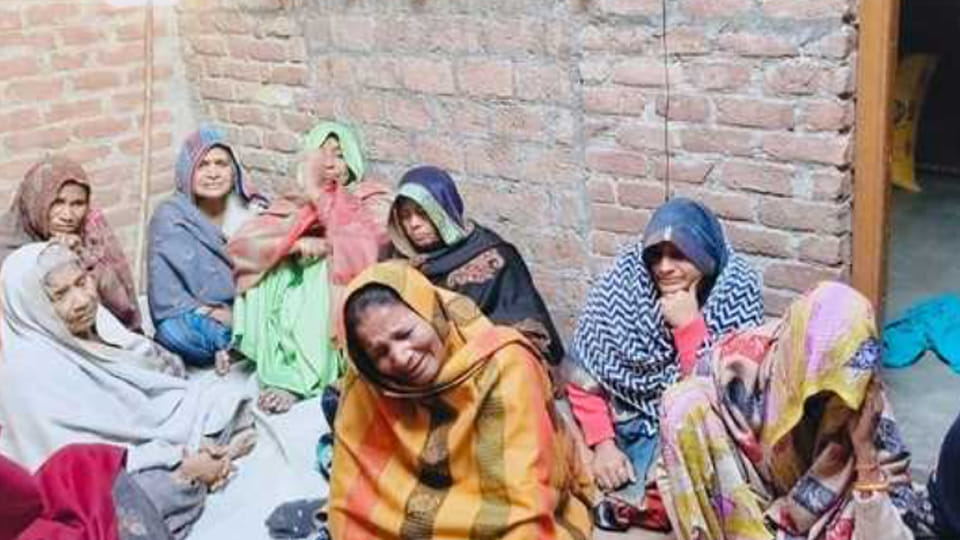 Farrukhabad: An elderly woman fell from a roof after being attacked by monkeys