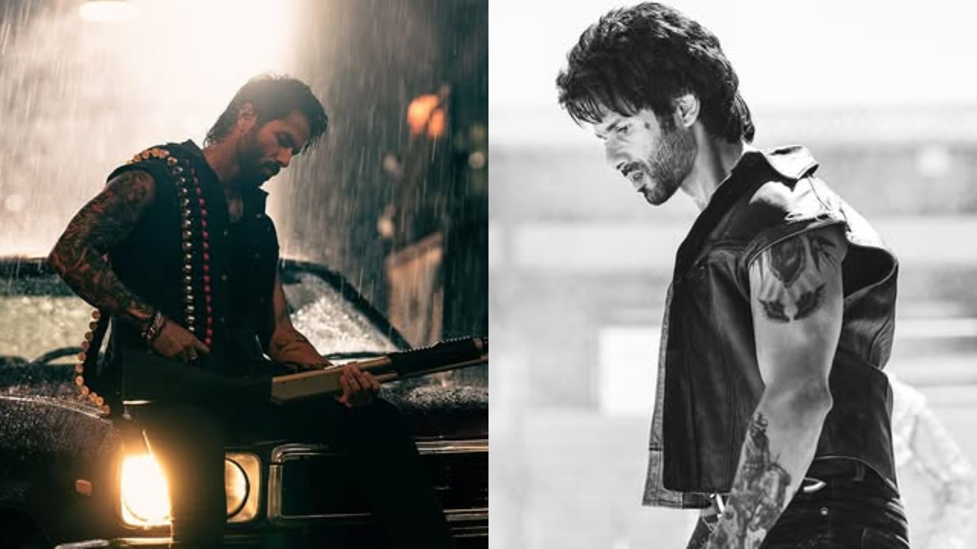 O Romeo Box Office Collection Day 13 shahid kapoor tripti dimri vishal bhardwaj romantic action film