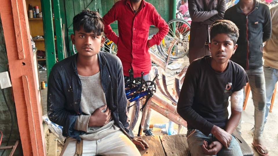 Mother killed by tusker elephant in Bahraich two sons seriously injured