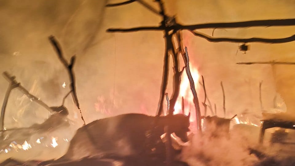 Short Circuit Sparks Blaze in Hut Six Livestock Burned Alive in Agra Village