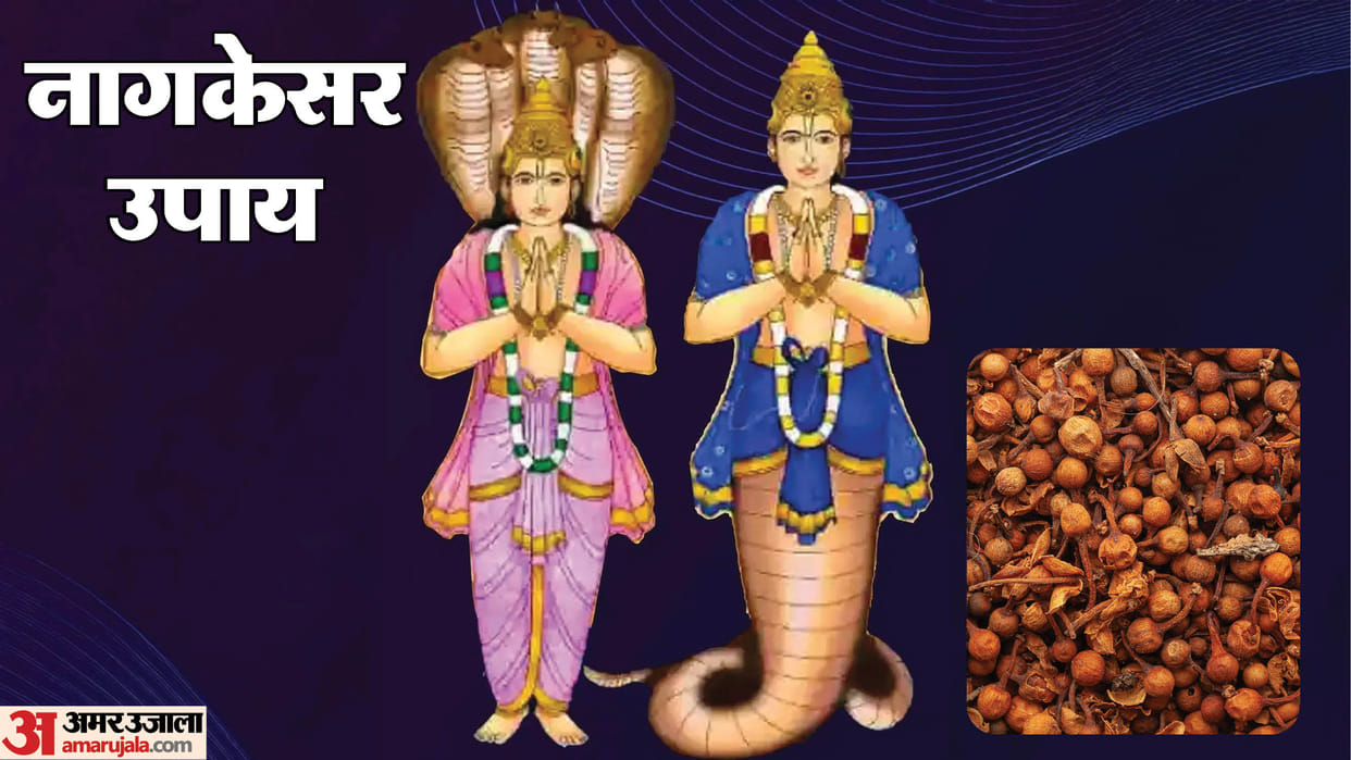 Suffering from Shani-Rahu Dosha? Simple Nagkesar Upay Remedies You Should Know