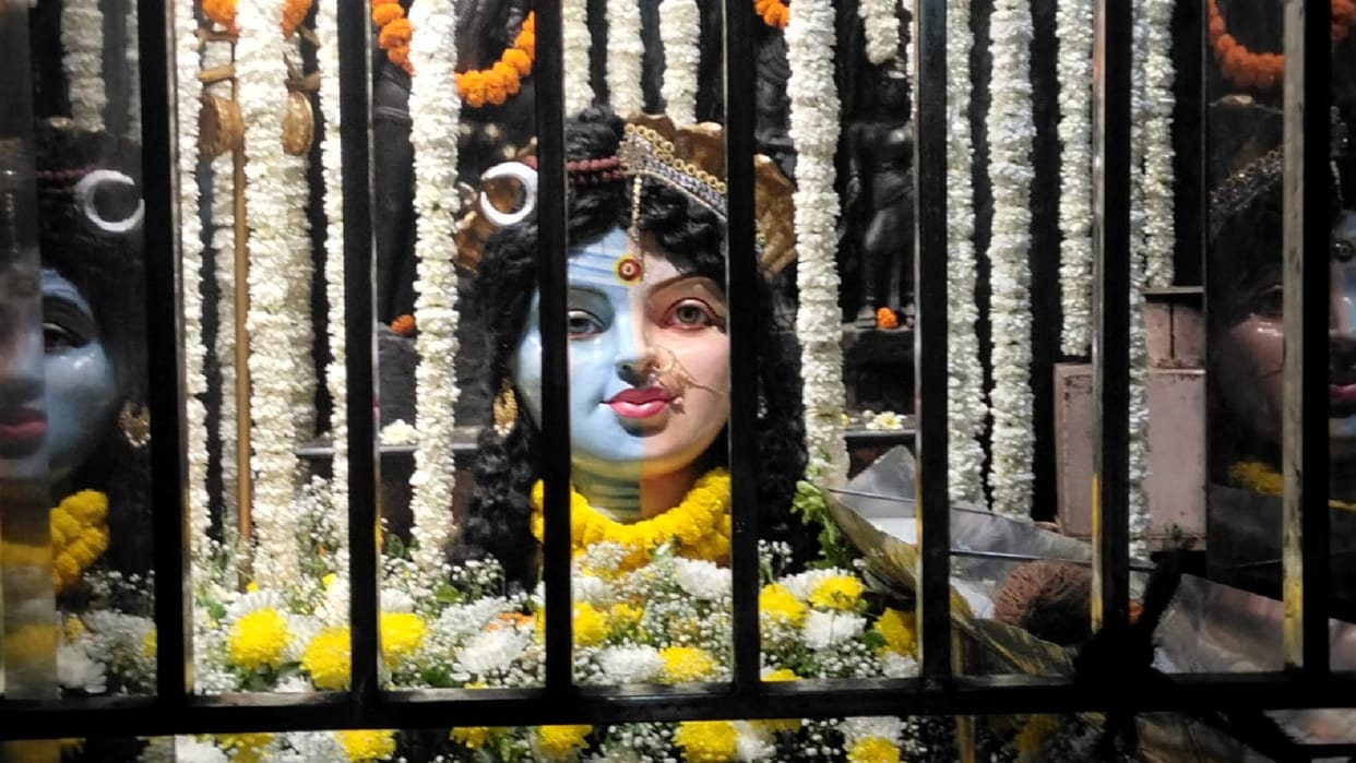 Mahashivratri 2026: Hatkeshwarnath mahadev decorated in Ardhanarishwar Form