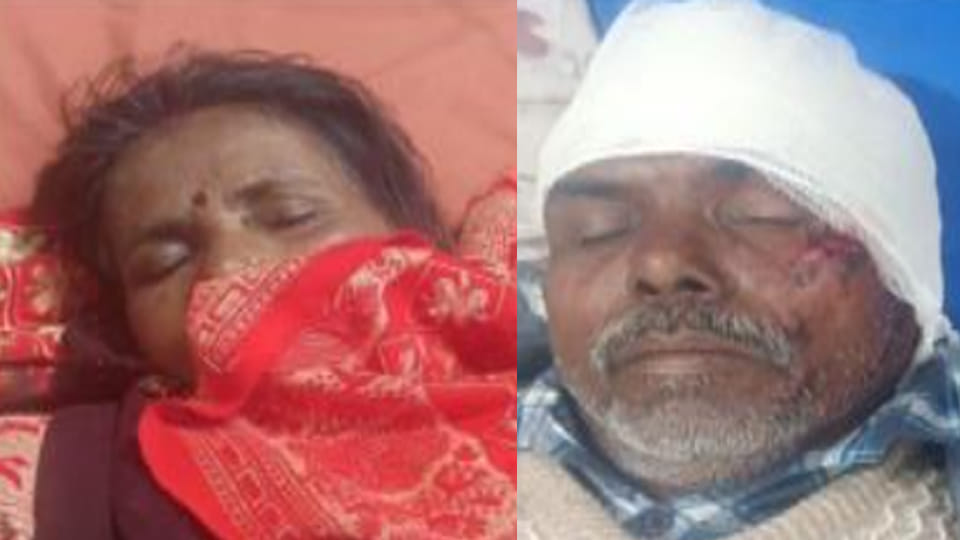 Farrukhabad: grandson riding an e-rickshaw dies after colliding with tractor, injuring three others