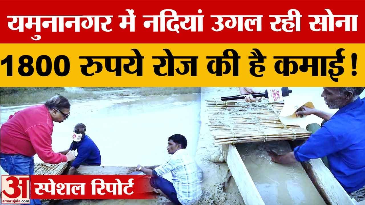 हरियाणा में हिमाचल से आने वाली नदियां उगलती हैं सोना, 250 परिवारों की रोजी-रोटी जुड़ी