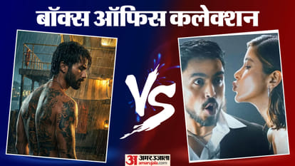 बॉक्स ऑफिस कलेक्शन