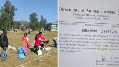 Himachal News Pashu Mitra Recruitment Process Put On Hold Until Further Order