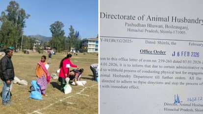 Himachal News Pashu Mitra Recruitment Process Put On Hold Until Further Order