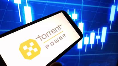 Torrent Power to acquire Nabha Pawar, deal finalised with L&T unit for Rs 100 crore