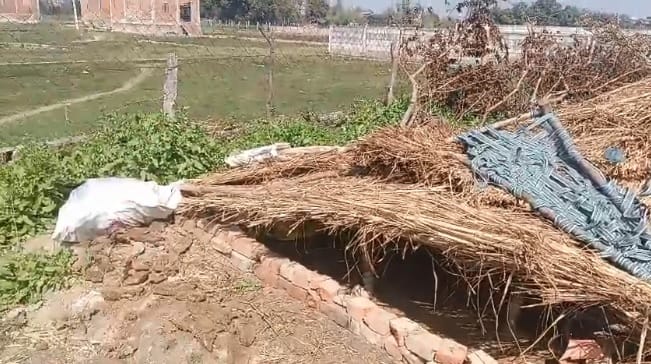 Kanpur 50 trees were felled on disputed land hut was set on fire and a woman was beaten for protesting