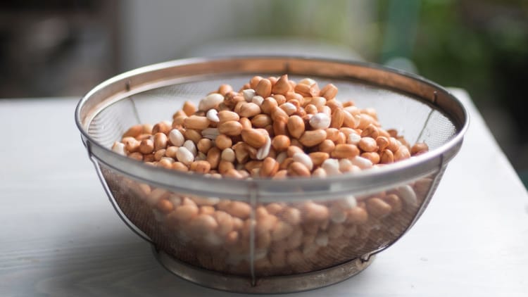 Uttarakhand: महिलाओं और बच्चों को पोषाहार में चना और मूंगफली भी मिलेगी, योजना के मेन्यू में नई चीजें शामिल