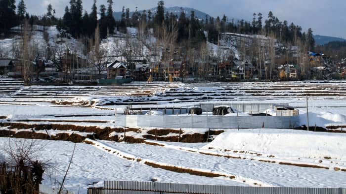 top news in hindi today important big headlines stories