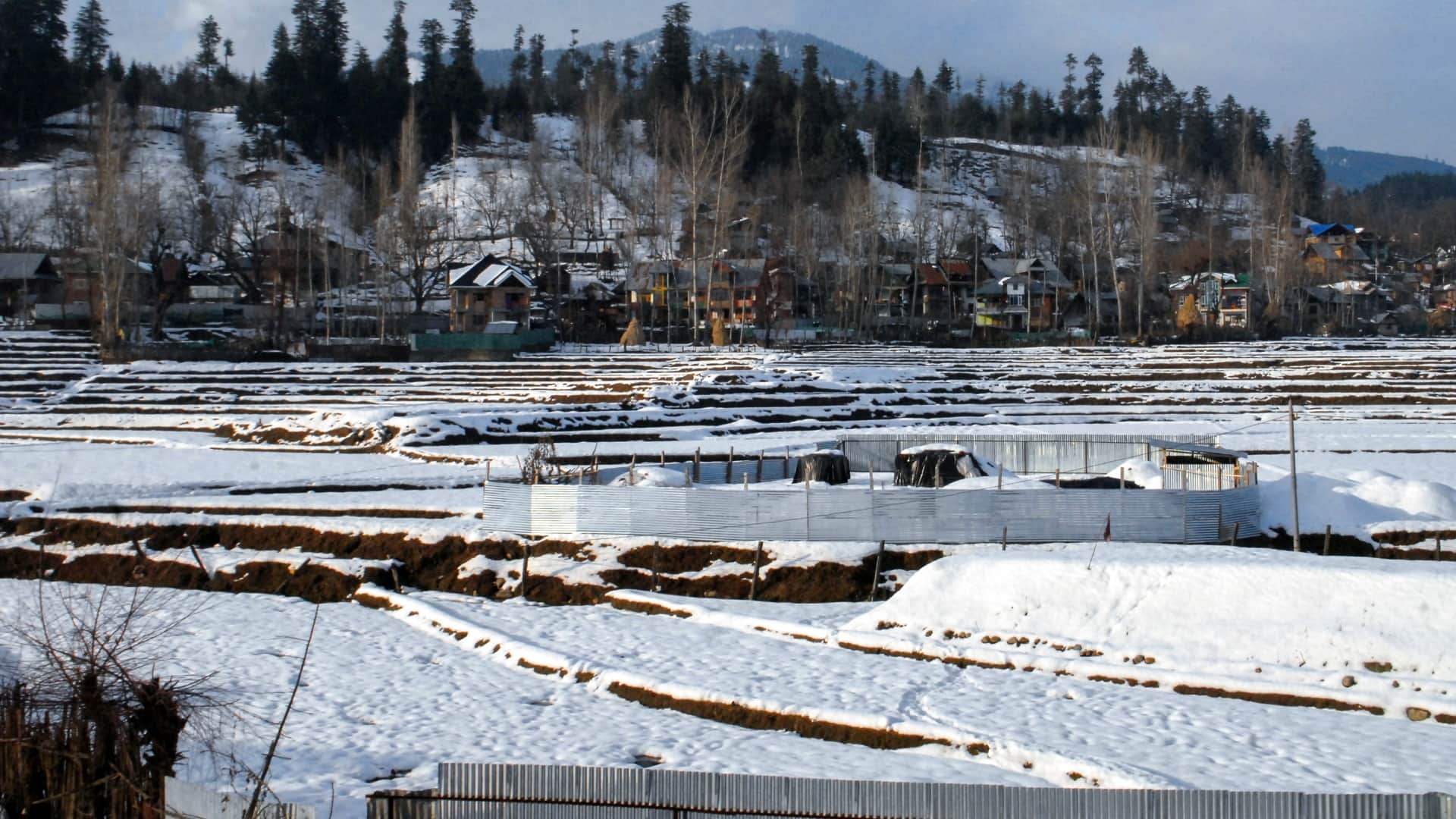 top news in hindi today important big headlines stories