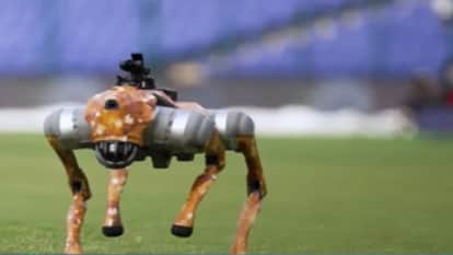 AI Summit: Robot dog attracts attention, will be a great help to security forces