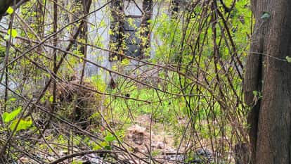 Security of juvenile home increased, ten policemen including two SIs deployed