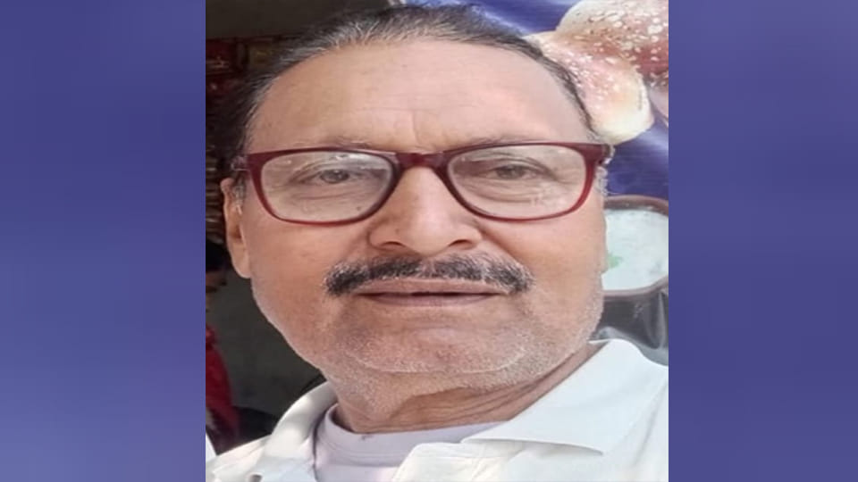 Kanpur: Umpire unable to escape bee attack, falls to his death; several players and scorers injured