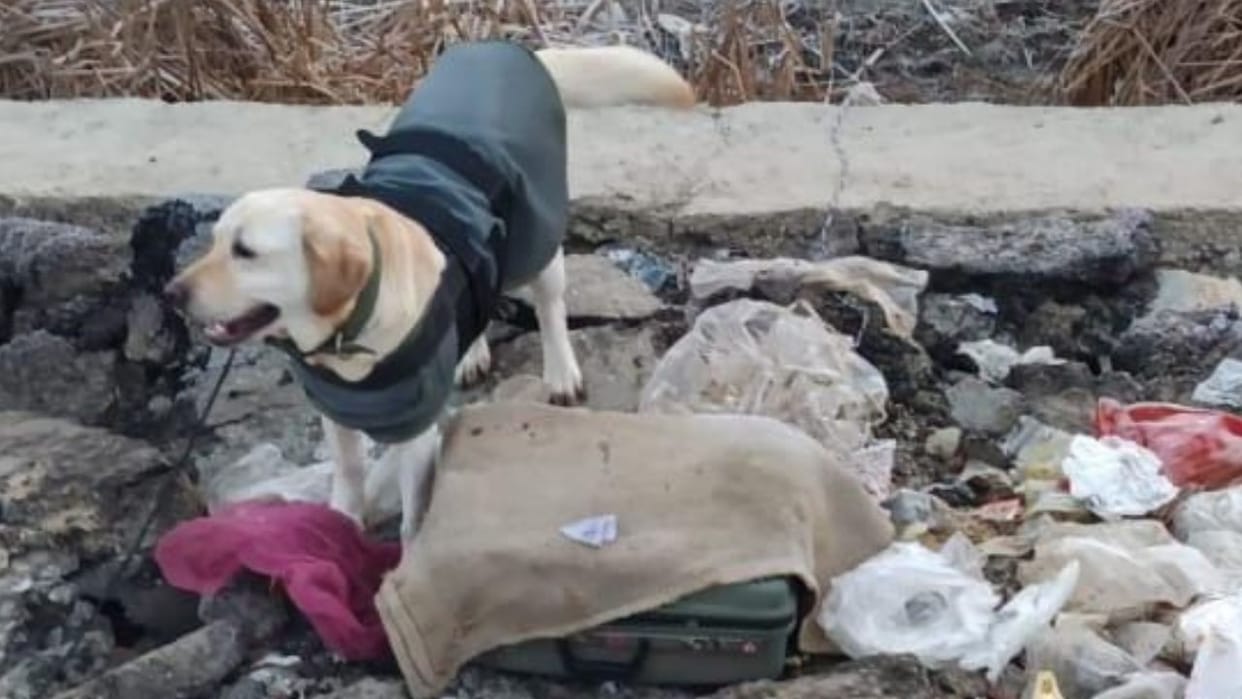 A suspected suitcase was found near Hanjiwera along the Baramulla Srinagar National Highway