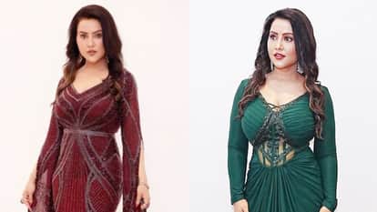 Amruta Fadnavis reveals if acting is on her cards calls music her passion