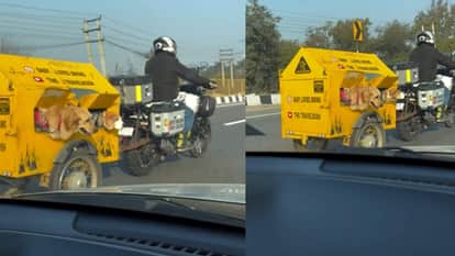 Gurgaon man build special cart on bike for to walk his dogs video goes viral