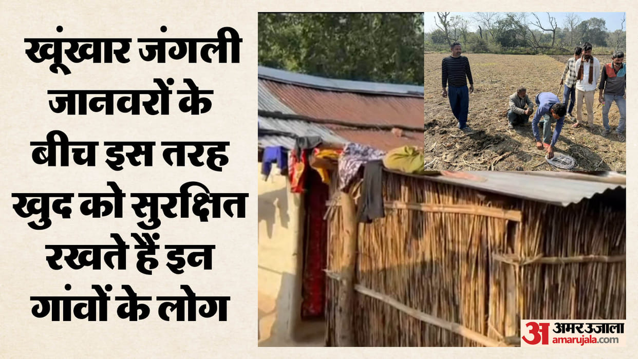 The battle between the jungle and the village: Fearless settlements in the land of tigers and leopards