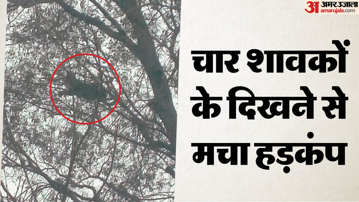 UP: A female leopard with four cubs was seen under a mango tree, causing panic among villagers; a video was qu