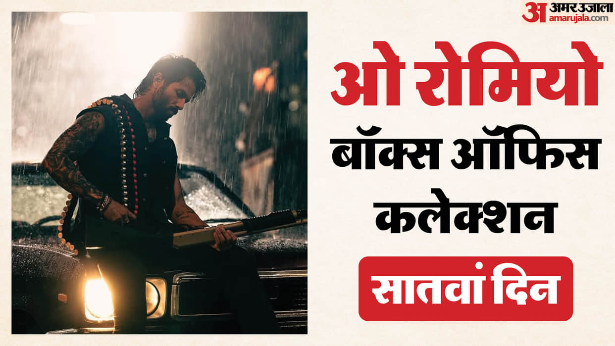 O Romeo Day 7 Collection Starring Shahid Kapoor And Triptii Dimri Thursday Earning