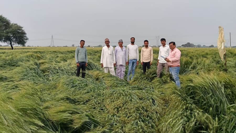 Indore News MP Shankar Lalwani visits rain affected villages to assess crop damage and orders survey