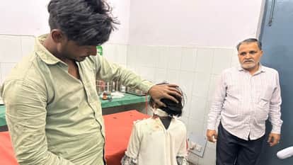 Baghpat: A pack of dogs attacked a 7-year-old girl, one bit her neck, the rest kept biting her legs