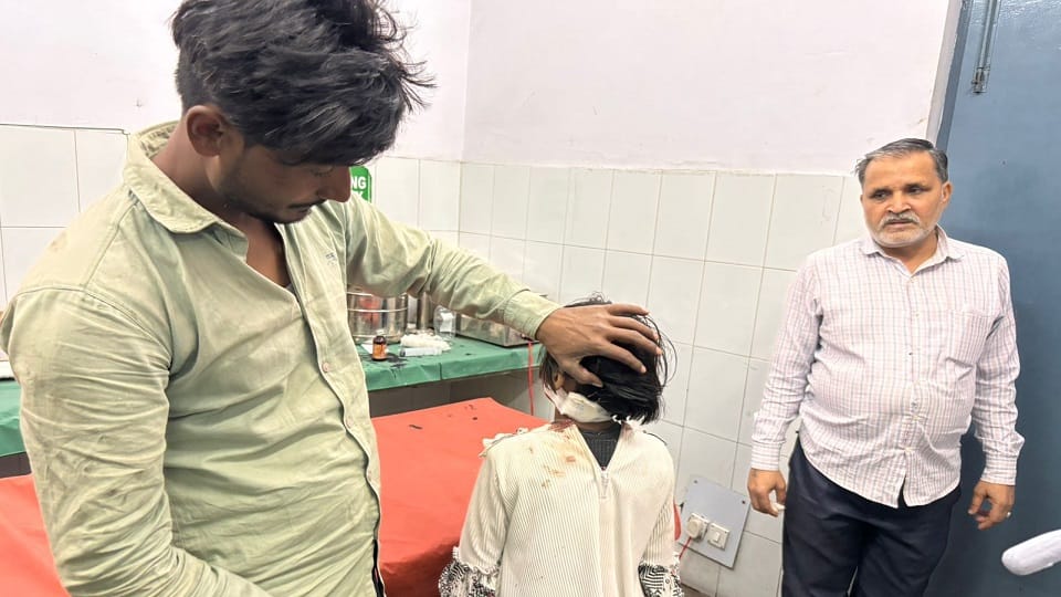 Baghpat: A pack of dogs attacked a 7-year-old girl, one bit her neck, the rest kept biting her legs