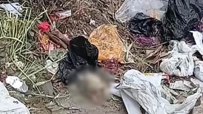 Stirred by discovery of human head in animal hospital premises in mau