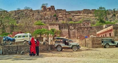 Rajasthan: NGT issues notice to demand resumption of mining in Ranthambore