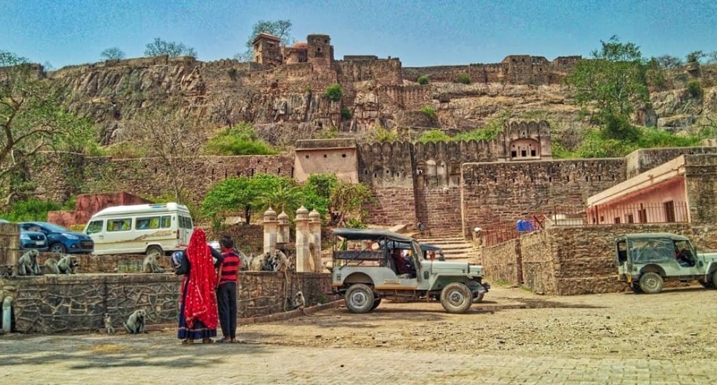 Rajasthan: NGT issues notice to demand resumption of mining in Ranthambore