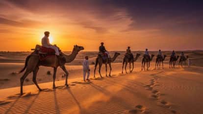 Himachal Pradesh Naib Tehsildar takes sick leave to travel with staff now facing action