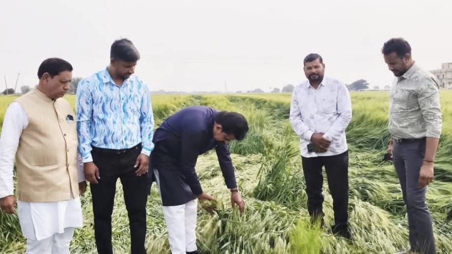 Indore News MP Shankar Lalwani visits rain affected villages to assess crop damage and orders survey