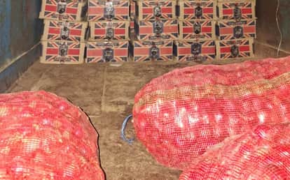 Bihar news wine consingment worth ₹70 lakh seized several vehicle impound