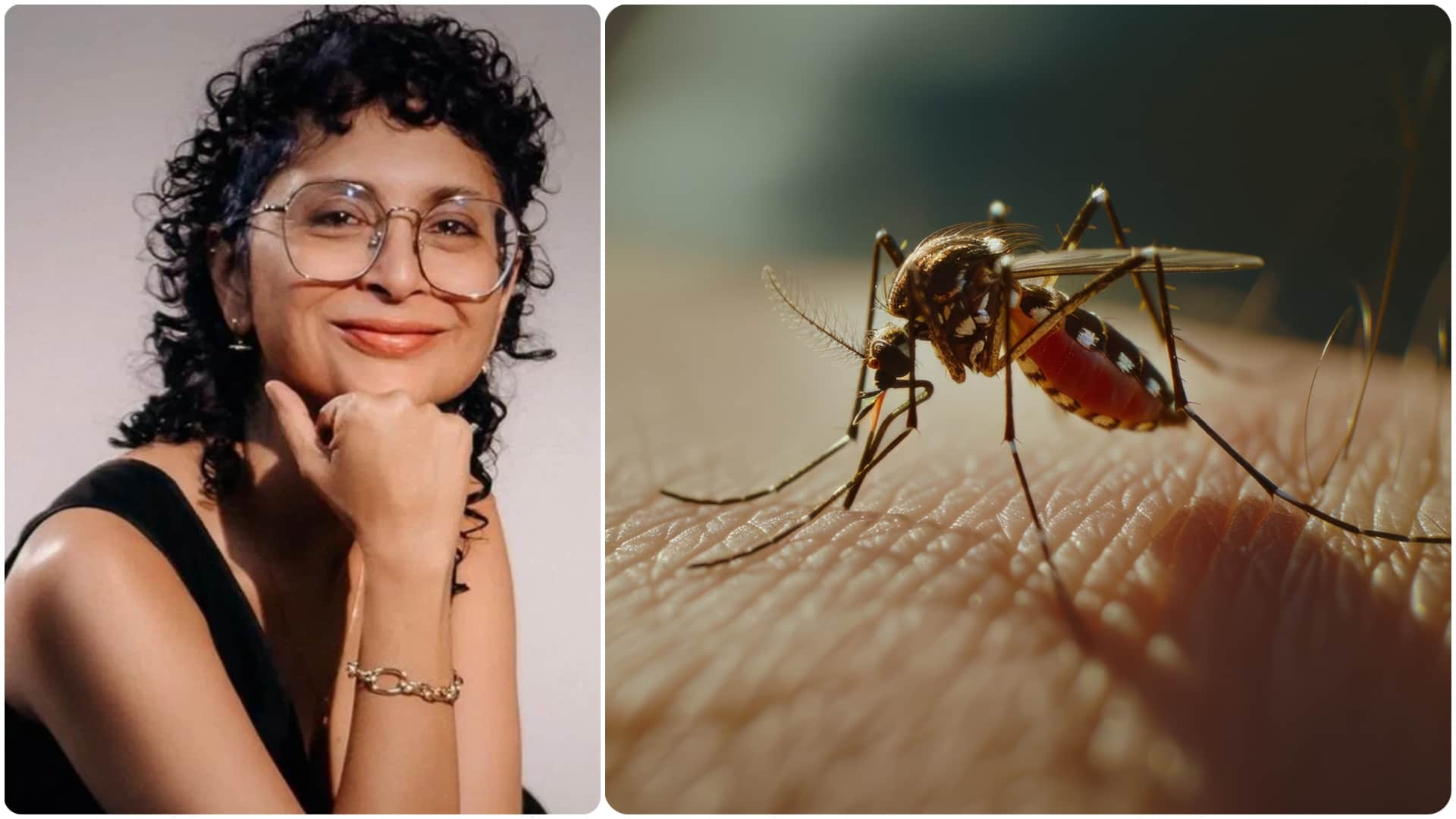 Kiran Rao is suffering from chikunguniya know symptoms and causes of mosquito borne diseases