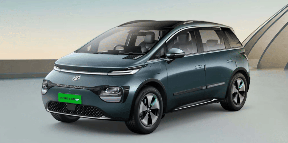 EV Sales Report: Top 10 best-selling electric cars January revealed; check which models lead race