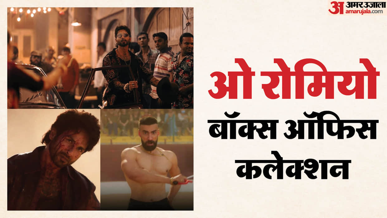 O Romeo Box Office Collection Day 8 shahid kapoor tripti dimri vishal bhardwaj