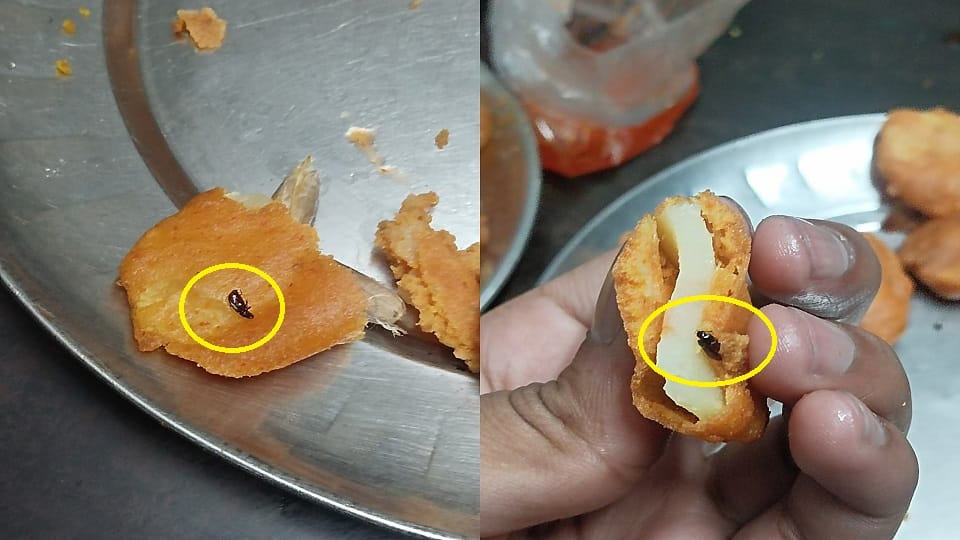 Worms in bread during Iftar at RM Hall AMU