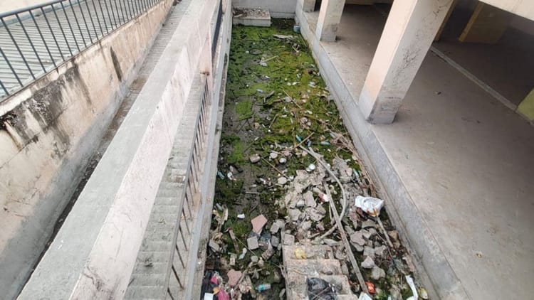 Indore News: सड़कों पर कचरा और विपक्ष के वार, क्या फिर से सफाई का सरताज बनेगा इंदौर?