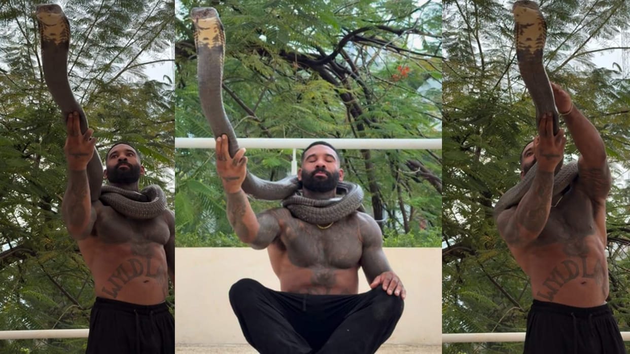 Man wrapped a king cobra around his neck people stunned video goes viral on social media