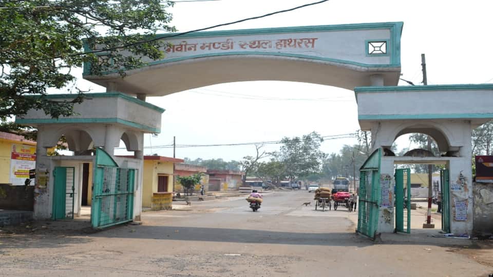 हाथरस मंडी समिति