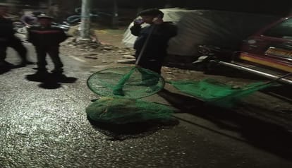 A dog suffering from canine distemper bit eight people, including a police inspector in haldwani