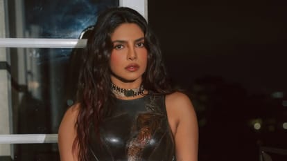 Priyanka Chopra Act With Hollywood Actor Orlando Bloom In survival thriller Movie Reset
