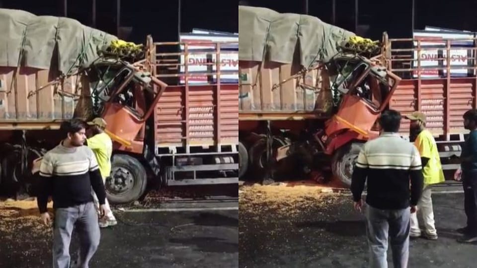 Driver killed in collision between truck and canter on Agra highway