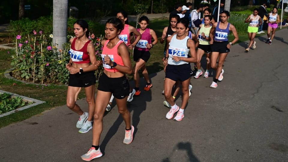 Women are at higher risk of ligament injury than men with hormonal changes also possible factor