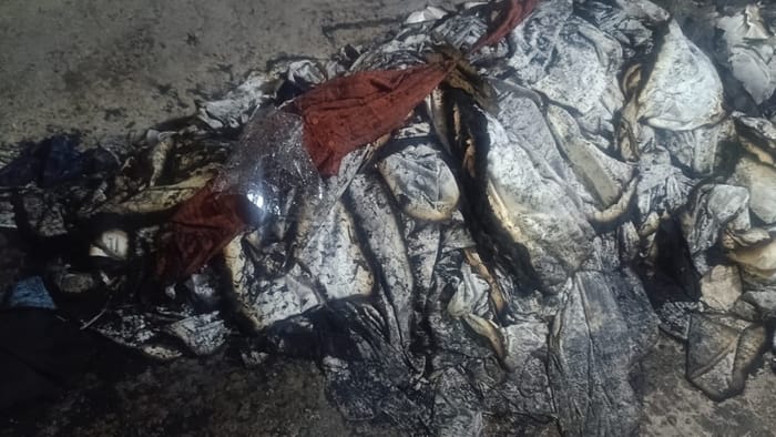 Top Headline Today Important And Big News Stories Of 24 February 2026 Updates on amar ujala