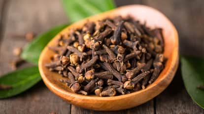 Ajab Gajab Clove tree was grown on the island of Ternate Indonesia for the first time in the world