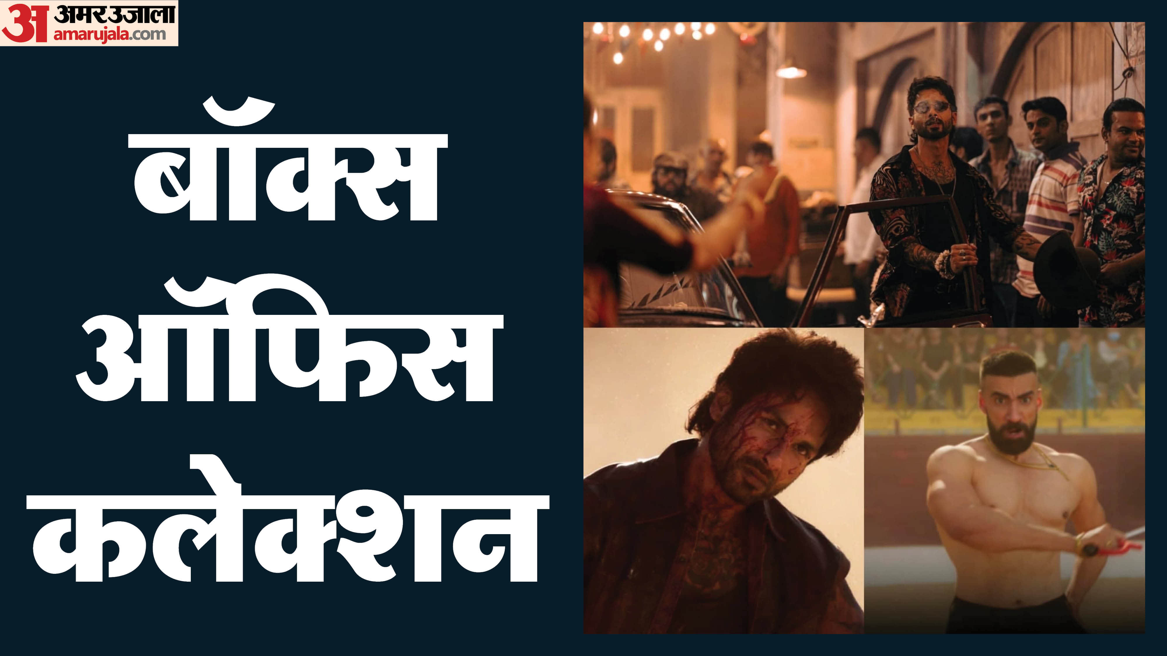 O Romeo Box Office Collection Day 11 shaid kapoor tripti dimri vishal bhardwaj