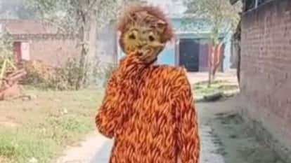 Youth dressed as tigers to scare away monkeys in lakhimpur kheri